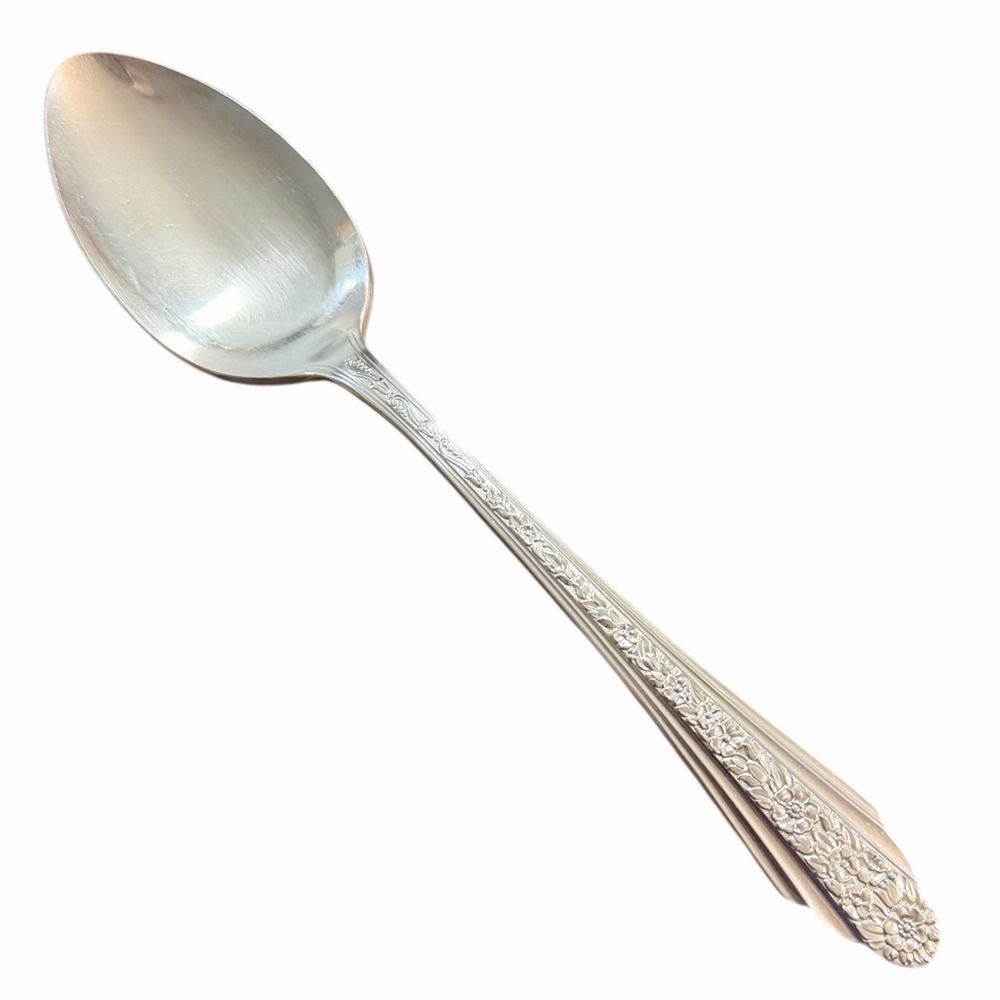 Rogers‎ & Bro Reinforced Plate MODERN ROSE International Silver 1949 Soup Spoon